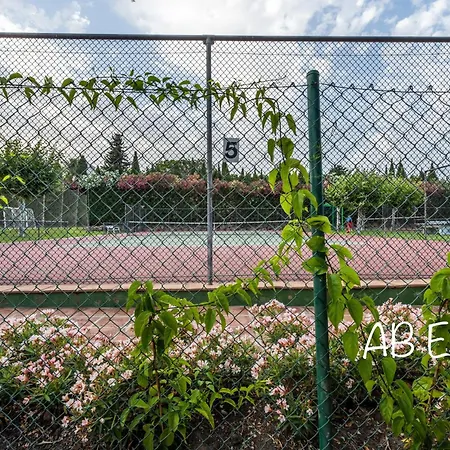 Apartment Alcazaba *